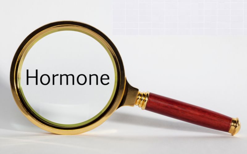 You are currently viewing Hormonsystem in der aktuellen Wissenschaft